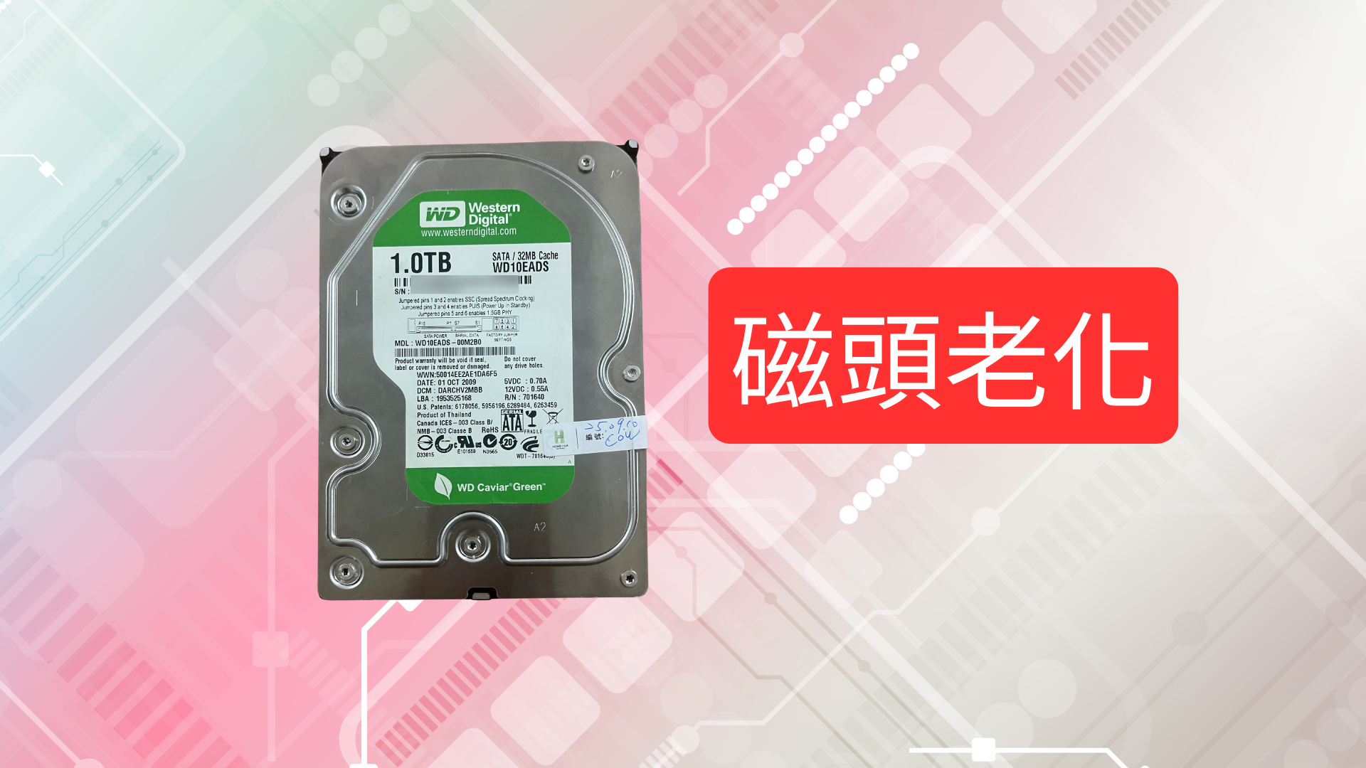WD 1TB 綠標硬碟（WD10EADS）照片與記帳資料成功救援案例 - 外接硬碟